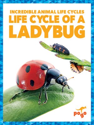 cover image of Life Cycle of a Ladybug